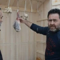 Berk Balbay Kimdir? Hayatı, Kariyeri ve İlgi Alanları