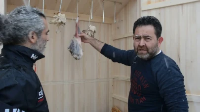 Berk Balbay Kimdir? Hayatı, Kariyeri ve İlgi Alanları